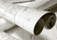 Management Services